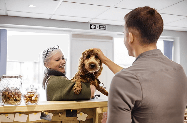 The Benefits of Pet Boarding Services for Your Furry Friend