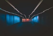 industry innovation insights revealed