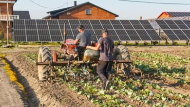 technological advancements through collaboration