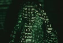 unexpected numerical significance revealed