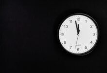 watch details reference number