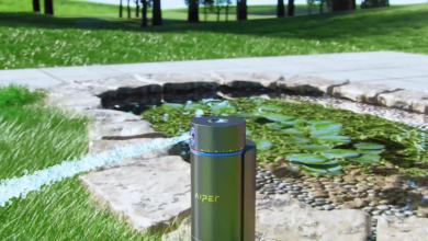 The Science Of Soil Moisture: How Often Should You Water Your Lawn