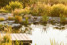 Does a Barrel Sauna Add Value to Your Home?