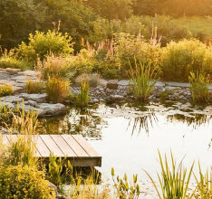 Does a Barrel Sauna Add Value to Your Home?