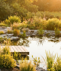 Does a Barrel Sauna Add Value to Your Home?